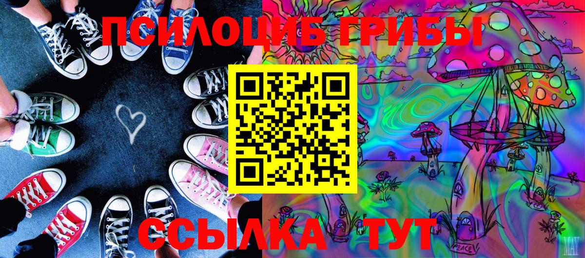 Галлюциногенные грибы GOLDEN TEACHER Белгород